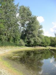 Остап'є з panoramio.com