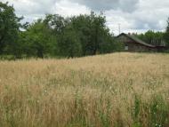 Сутоки з panoramio.com