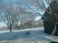 Саранчуки з panoramio.com