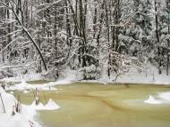 Яворівка з panoramio.com