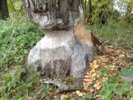 Таганка з panoramio.com