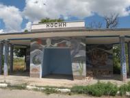 Косих з panoramio.com