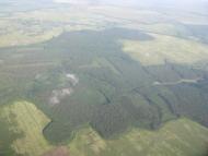 Жорнівка - Останні фото