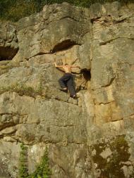 Шершні з panoramio.com