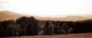 Забрідь з panoramio.com - Забродь