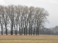 Бобруйки з panoramio.com