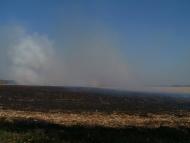 Степанівка з panoramio.com