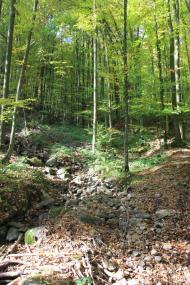 Раково з panoramio.com