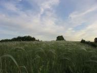 Спаське з panoramio.com - Спасское