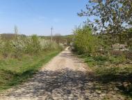 Вербка з panoramio.com