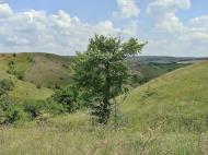 Русько-Орлівка з panoramio.com