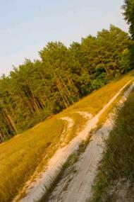 Рокитне з panoramio.com