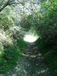 Лопушанка-Хомина з panoramio.com