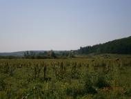 Гусина Поляна з panoramio.com