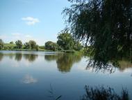 Кадомка з panoramio.com