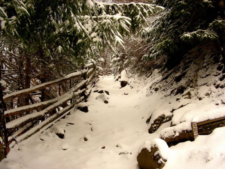 Руська Мокра з panoramio.com - Русская Мокрая