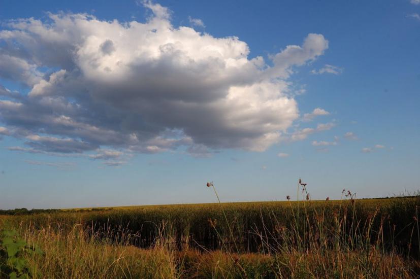 Колядівка з panoramio.com - Колядовка