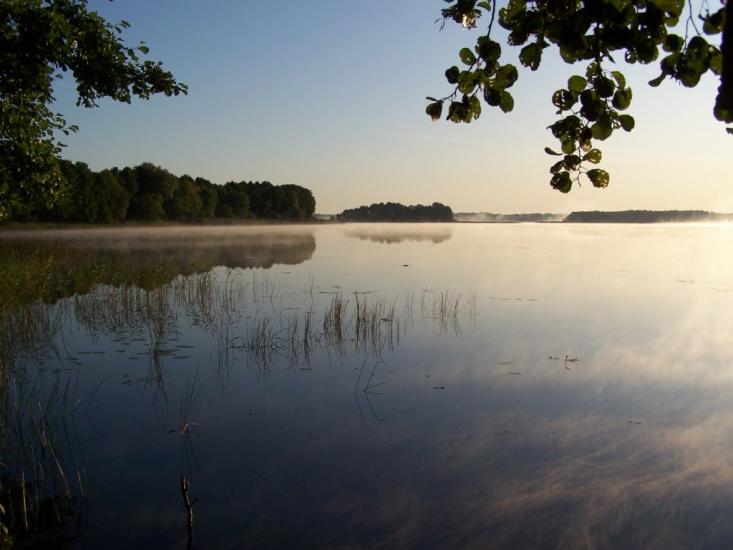 Мельники з panoramio.com - Мельники