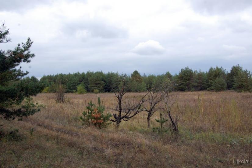 Борівське з panoramio.com - Borivske