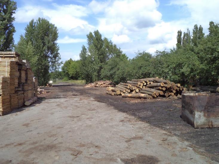 Стеблів з panoramio.com - Стеблев