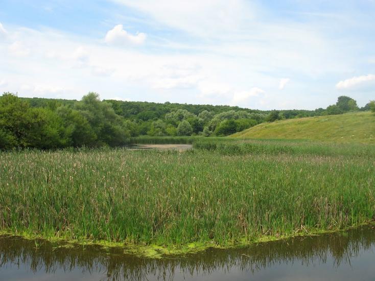 Паламарівка з panoramio.com - Паламаровка
