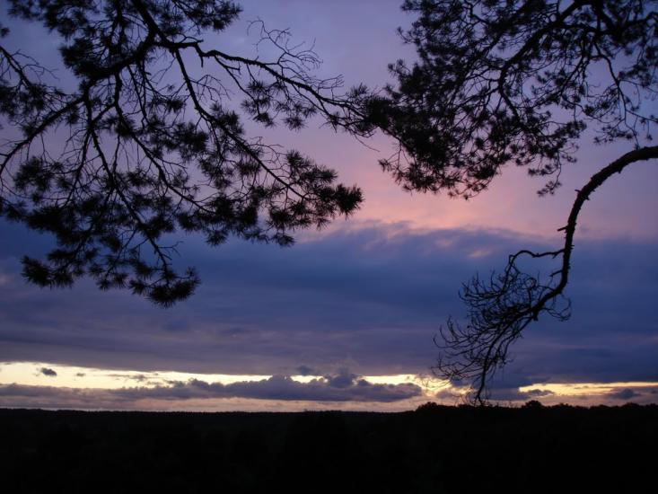 Пісківка з panoramio.com - Piskivka