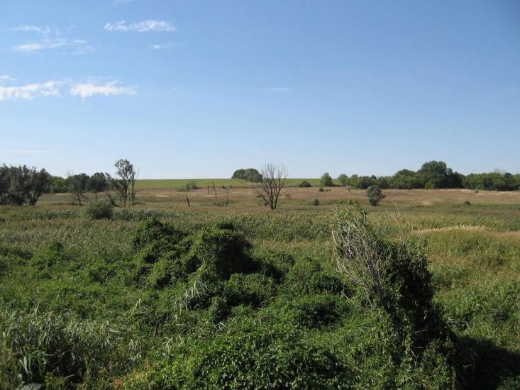 Нова Семенівка з panoramio.com - Нова Семенівка