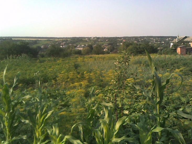 Руська Лозова з panoramio.com - Руська Лозова