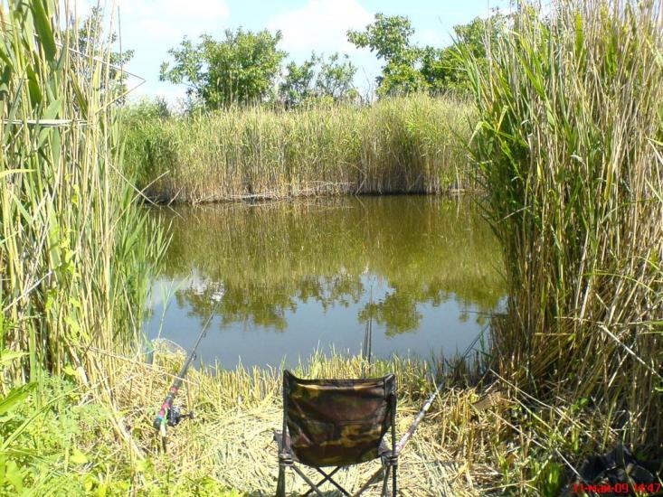 Маяки з panoramio.com - Маяки