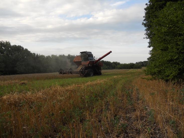 Шевченківка з panoramio.com - Шевченківка