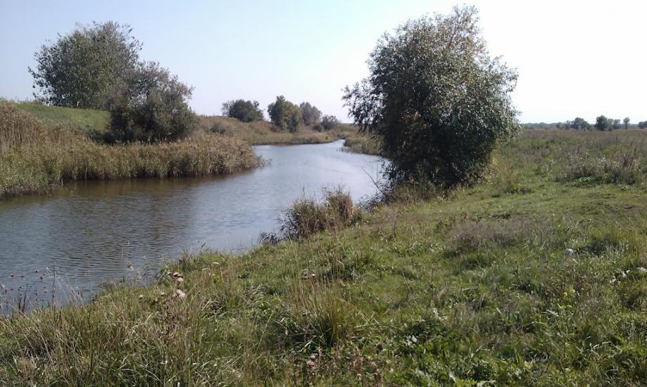Софіївка з panoramio.com - Софиевка