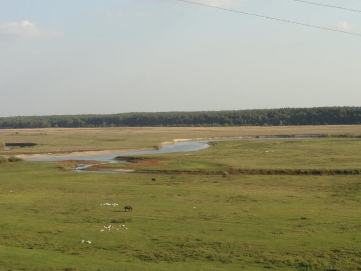 Старий Чорторийськ з panoramio.com - Старый Чарторийск