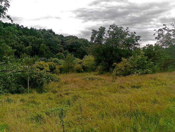 Подорожнє з panoramio.com - Подорожнє