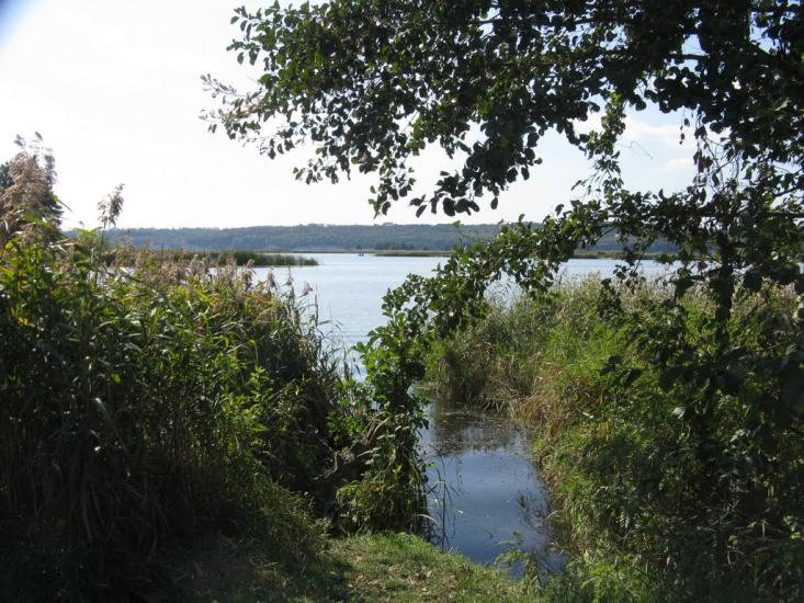 Ржищів з panoramio.com - Ржищев