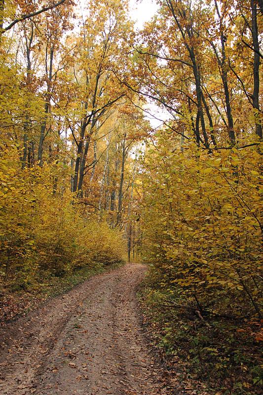 Хотивель з panoramio.com - Хотивель