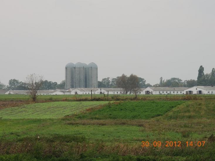 Гельмязів з panoramio.com - Гельмязів