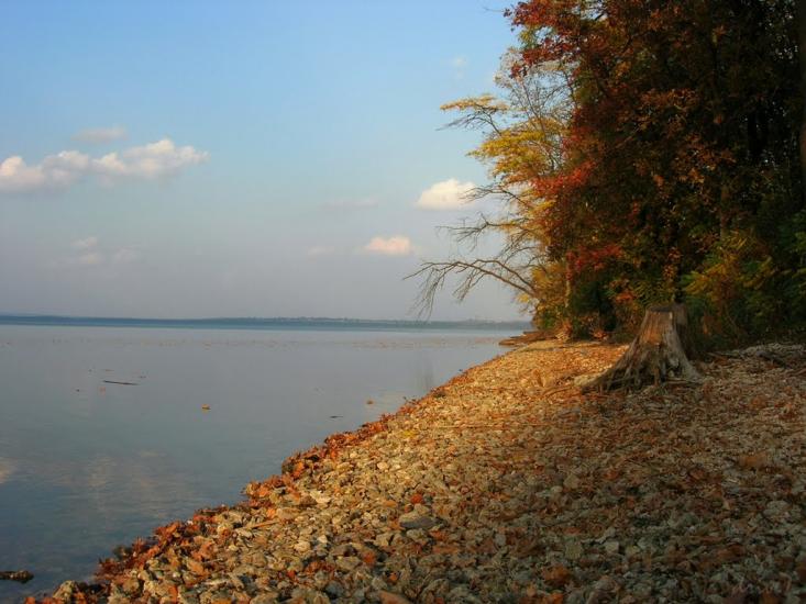 Зелений Гай з panoramio.com - Зеленый Гай