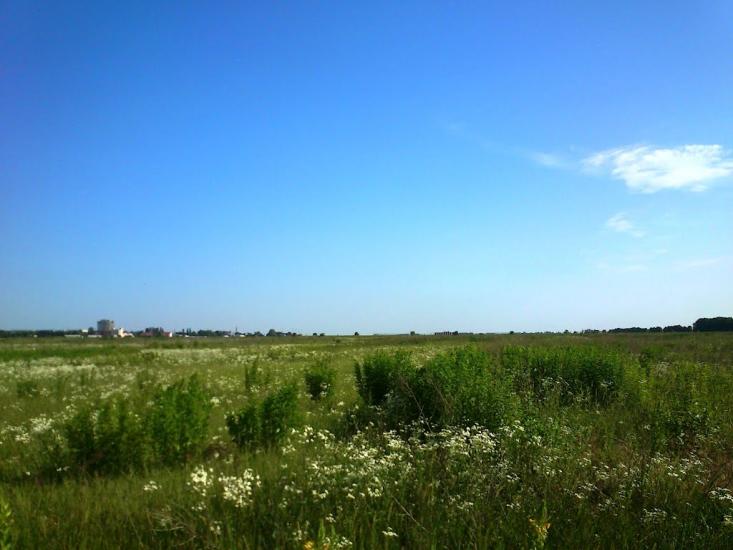 Гора з panoramio.com - Гора