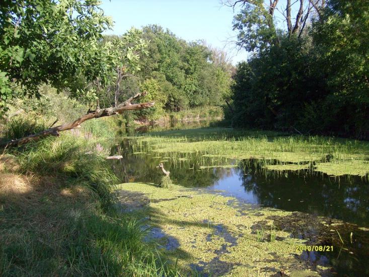Співаківка з panoramio.com - Спеваковка