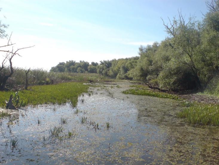 Новосільське з panoramio.com - Novosilske