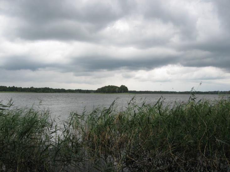 Мельники з panoramio.com - Мельники
