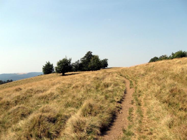 Вучкове з panoramio.com - Вучкове