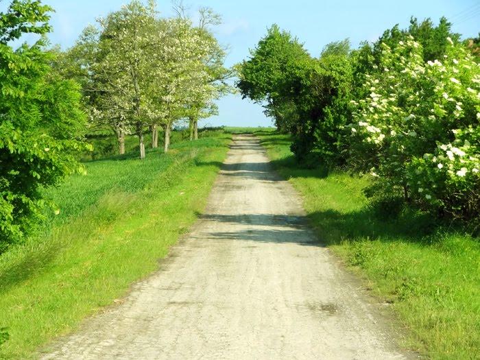 Стаївка з panoramio.com - Стаївка
