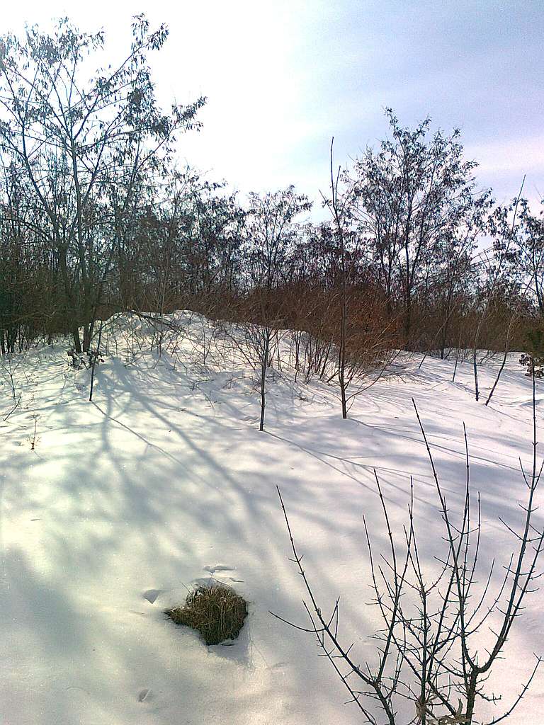 Паївка з panoramio.com - Паївка