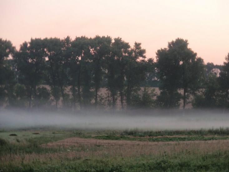 Мар'янське з panoramio.com - Мар'янське