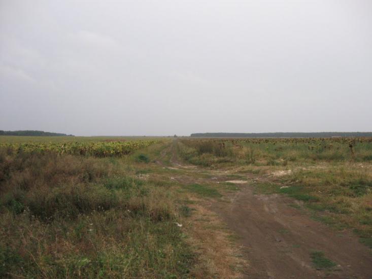 Ярмолинці з panoramio.com - Ярмолинці