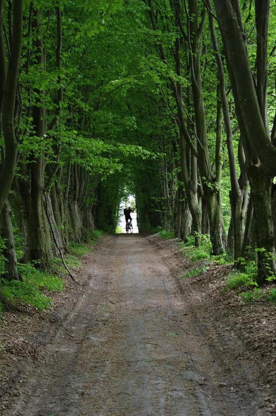 Гуща з panoramio.com - Гуща