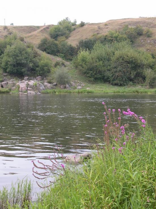 Салькове з panoramio.com - Сальково