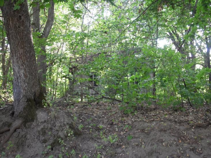 Ступаківка з panoramio.com - Ступаківка