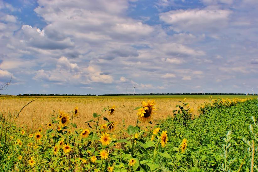 Безіменне з panoramio.com - Безіменне